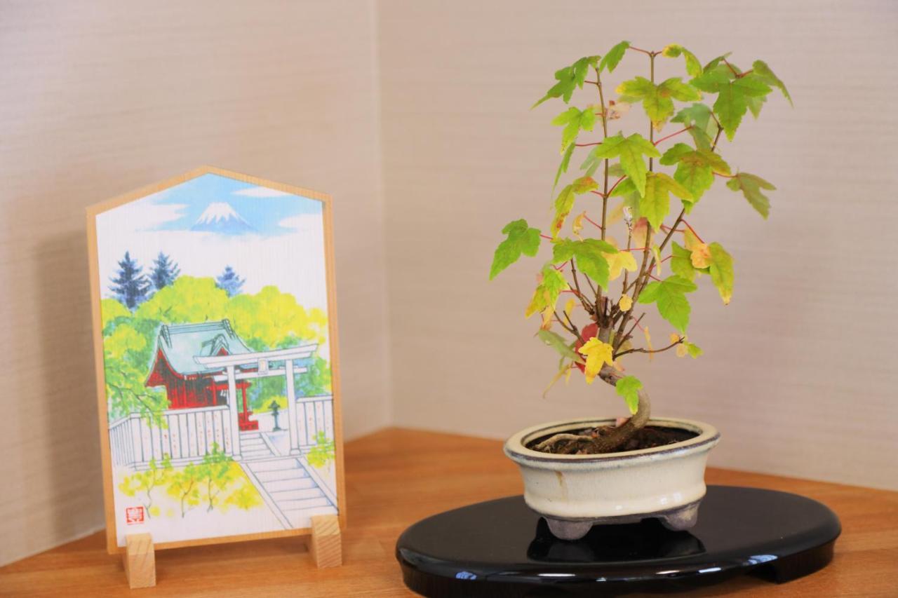 Kitaguchi Tougakukan Fujiyoshida Buitenkant foto